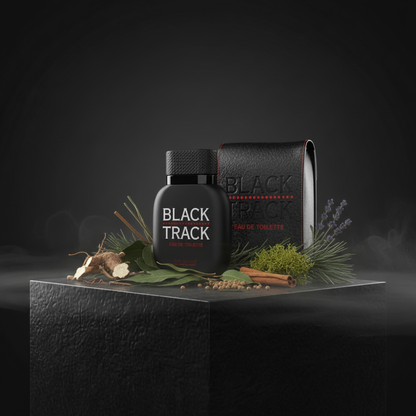 EDT 100 ml "Georges Mezotti - Black Track" – aromás-fougère illat