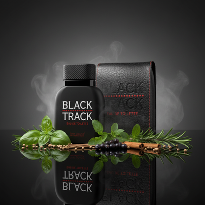 EDT 100 ml "Georges Mezotti - Black Track" – aromás-fougère illat